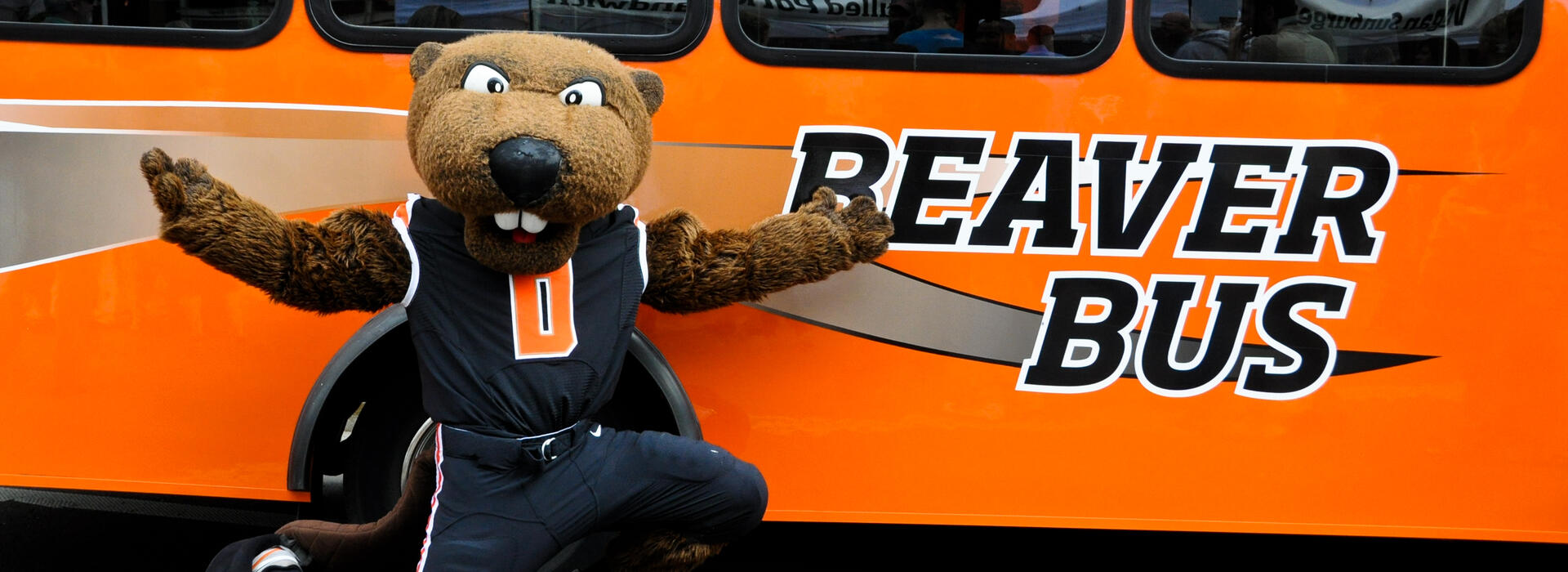 beaver-bus-photo